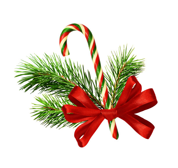 传统的圣诞藤条与松枝和红色丝带蝴蝶结孤立在白色图片下载