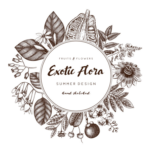 异国情调的植物设计图片下载