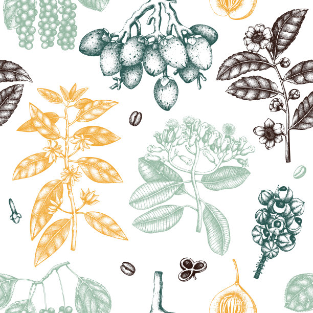 奇异的植物和水果图案图片下载