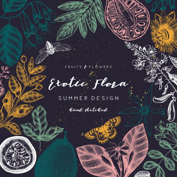 异国情调的植物设计图片下载