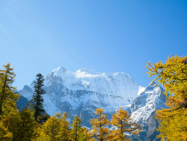 在亚丁，雪山覆盖的山峰上有五颜六色的秋叶图片下载