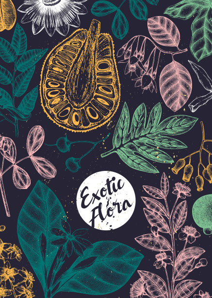 花卉墨水手绘模板。图片下载