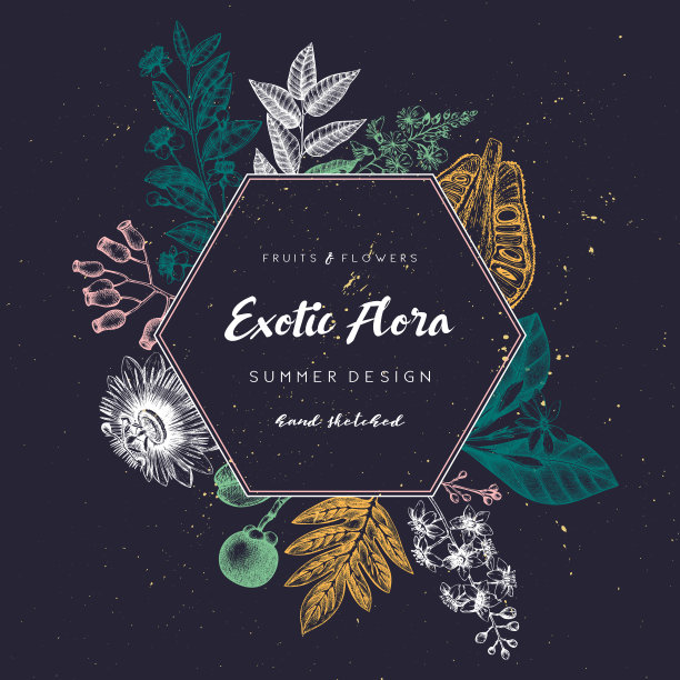 异国情调的植物设计图片下载