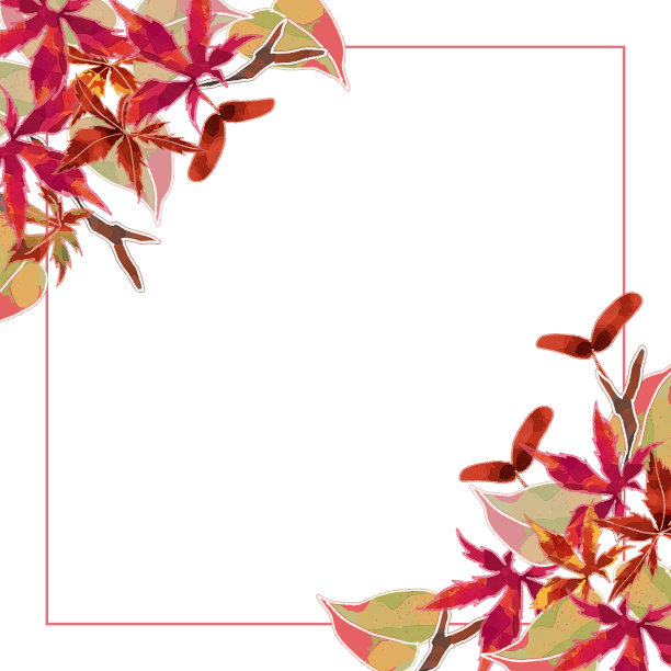 秋天的落叶/秋天/植物帧/背景(向量)图片下载