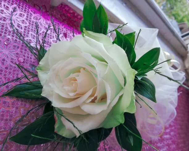 桌上的花图片下载