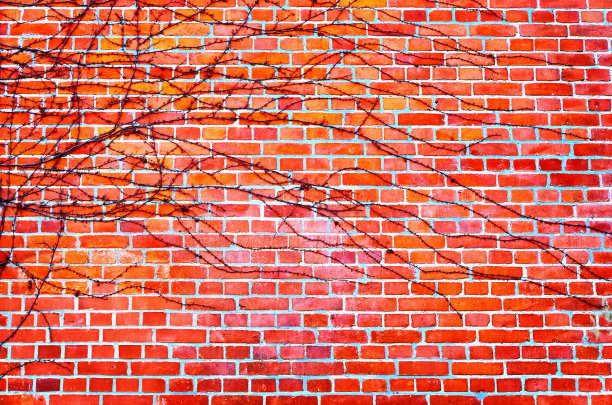 砖墙背景是秋叶。图片下载