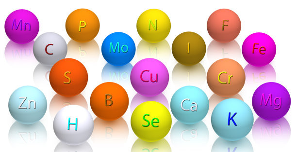 人体健康所必需的微量营养素和宏观营养素。图片下载