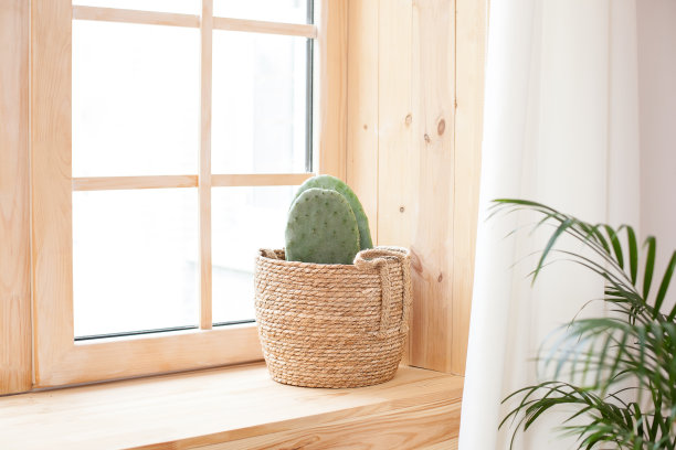一株插在稻草罐里的仙人掌，立在窗边的木窗台上。绿色的仙人掌，多汁的窗台与一个轻软的背景。窗台上的盆栽。家庭园艺的概念。图片下载
