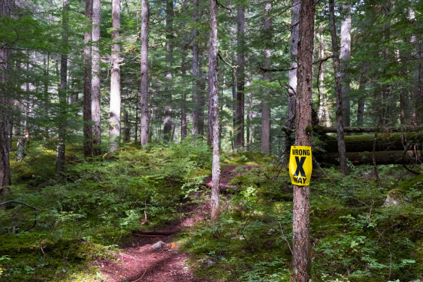 徒步旅行路线上指示错误方向的标志图片下载