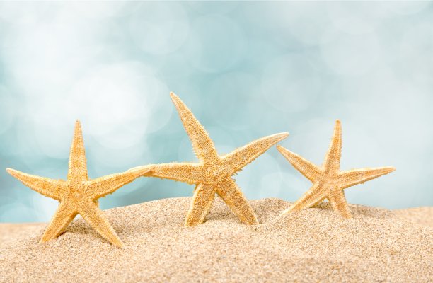 海滩。图片下载