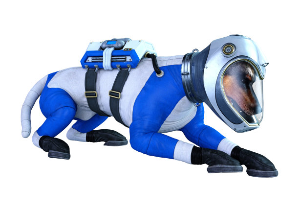 3D插图宇航员狗在白色图片下载