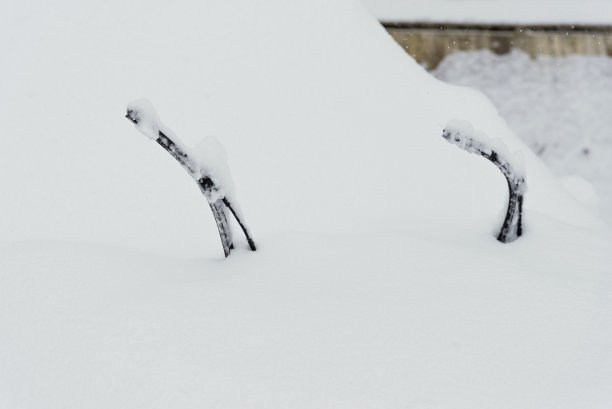 大雪下的雨刷。图片下载