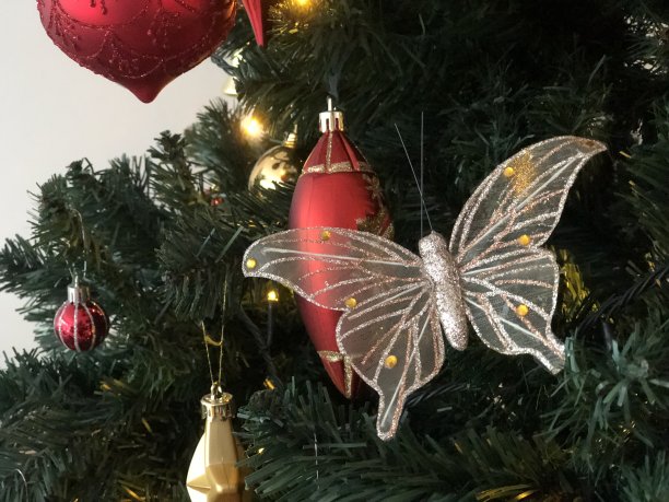 感觉开始有点像圣诞节了……图片下载