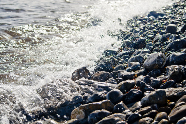 在夏天的海滩上图片下载