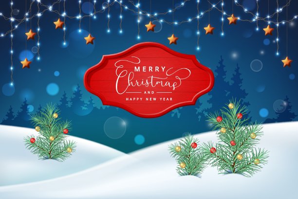 圣诞假期冬季景观图片下载