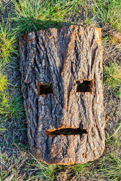 用树皮雕刻的挪威洛基神面具图片下载