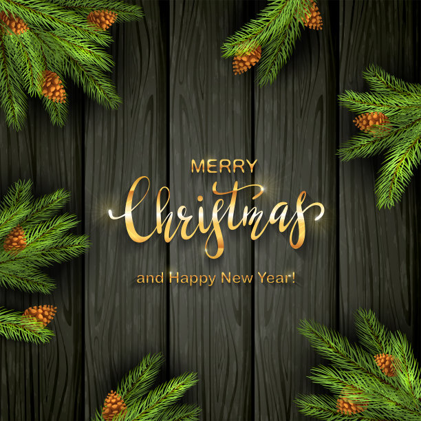 在黑色木制背景上的圣诞树树枝图片下载