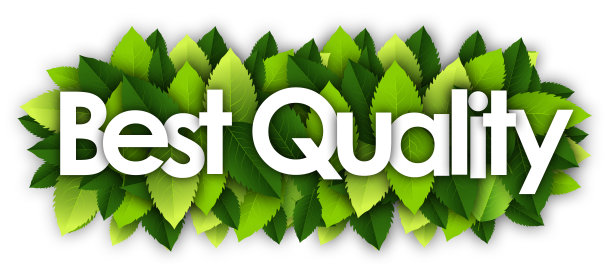 最好的质量图片下载