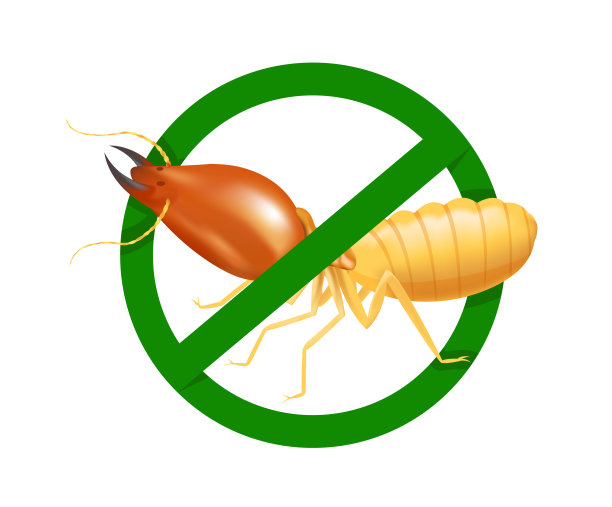 禁止白蚁在绿色圆圈标志上隔离白色背景，标志白蚁昆虫，禁止白蚁标志为平面图标信息图形，插图白蚁图标化学喷雾产品图片下载