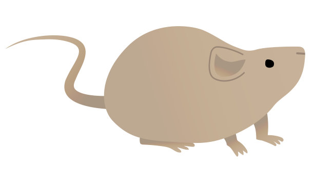 鼠矢量图素材ID：346104972