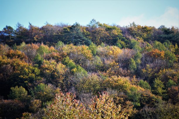 山间的秋天图片下载