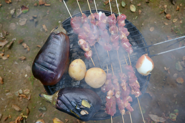 烤土豆，茄子，洋葱和肉串。图片下载
