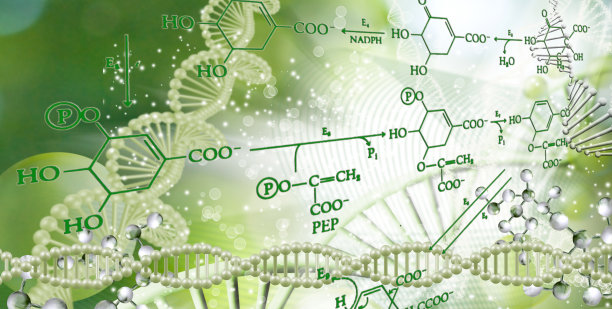 DNA链在模糊的背景和化学公式。图片下载