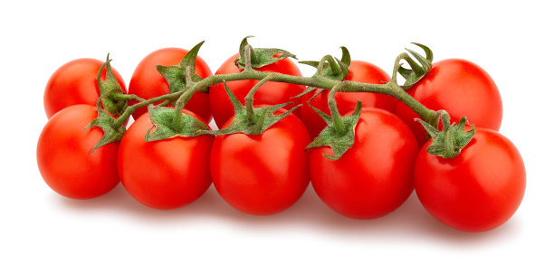 樱桃番茄图片下载