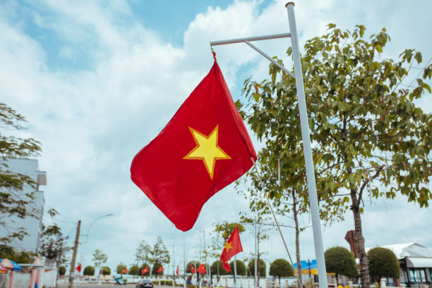越南国旗在城市街道上随风飘扬图片下载