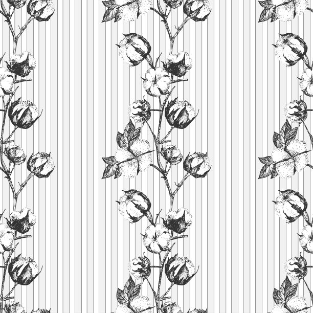 无缝模式与树枝，花和叶的棉花植物。手绘素描植物插图。雕刻风格。黑白插图。素材图片
