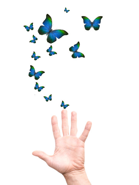 手放了一群蝴蝶。孤立在白色图片下载
