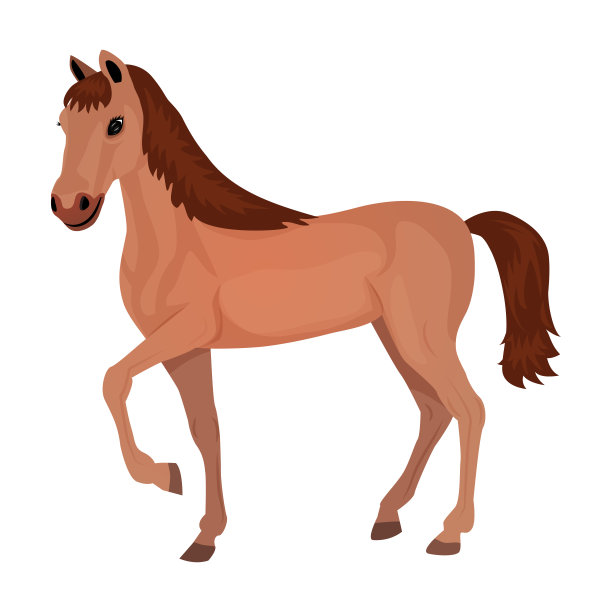 可爱的卡通马孤立在一个白色的背景。平的风格。矢量插图。图片下载