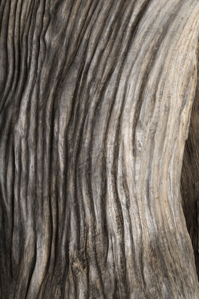 漂亮的手工雕刻橡木雕塑。老沼泽橡木图片下载