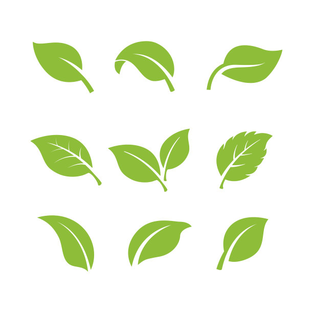 一组绿色叶子元素向量图标。绿叶矢量符号插图图片下载