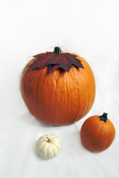 秋天秋天南瓜图片下载