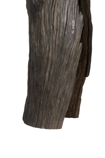 漂亮的手工雕刻橡木雕塑。老沼泽橡木图片下载