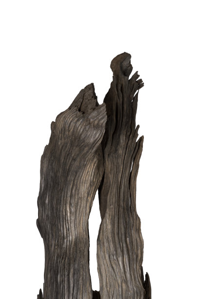 漂亮的手工雕刻橡木雕塑。老沼泽橡木图片下载