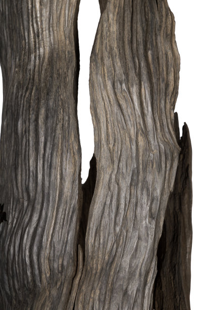 漂亮的手工雕刻橡木雕塑。老沼泽橡木图片下载