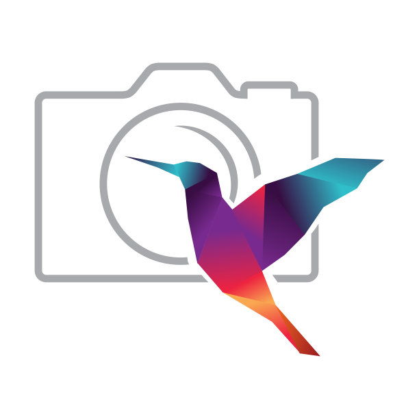 雀鸟的相机图片下载