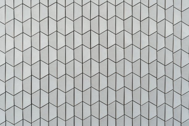 梯形细胞的纹理壁图片下载