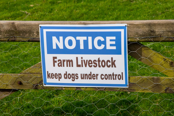 一扇木门上贴着“农场家畜-控制狗”的告示图片下载