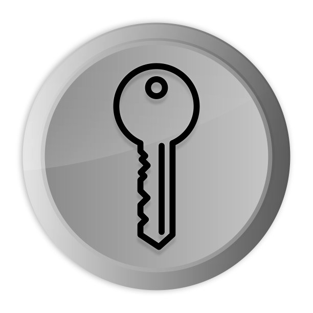 关键图标金属银色圆形按钮金属设计圈孤立在白色背景黑白概念插图图片下载