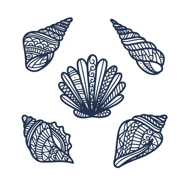 手绘海贝集。矢量插图。图片下载