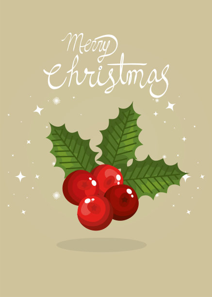 圣诞快乐的海报与树叶和水果的传统图片下载
