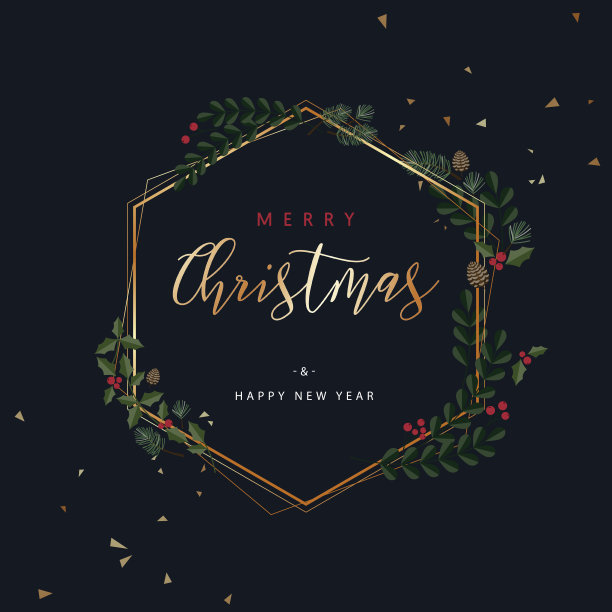 有冬季花朵的圣诞植物花环图片下载