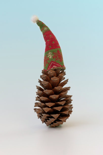 圆锥与圣诞帽。图片下载