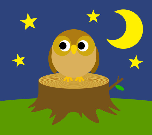 猫头鹰素材图片