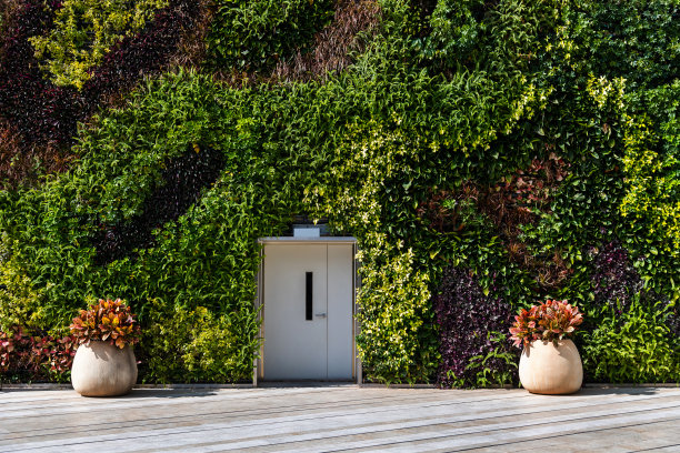 墙上爬满了绿色的藤蔓图片下载