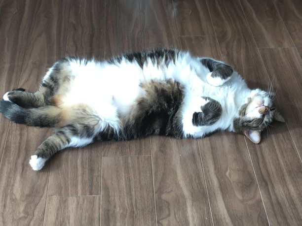 闲谈，聊天图片下载