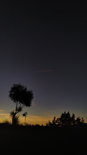 在秋天的季节，树的夏洛蒂图片下载